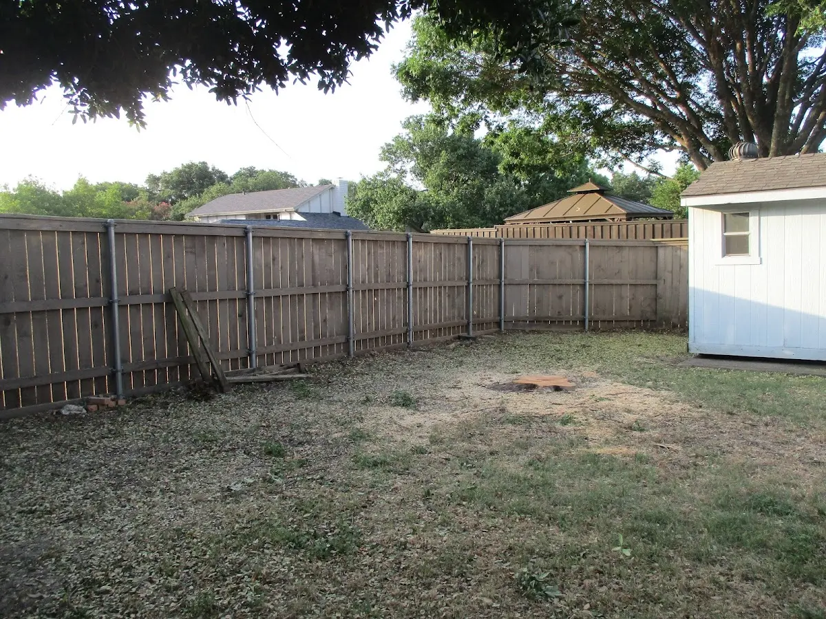 Cleared yard after professional tree removal in Palisades